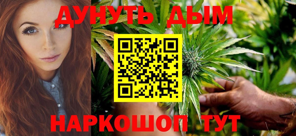 Бошки Шишки планчик  Марихуана план  Семилуки  Вход с VPN 